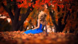 The Aston Shuffle – No Place Like Home