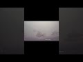Video Thumbnail for Fish reaction when they see the lure #fishing #shorts #catchandrelease