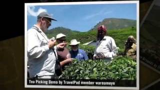 preview picture of video 'Highlands of Kerala Wareameye's photos around Munnar, India (women harvesting in kerala tea)'