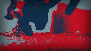 &quot;Shrimp&quot; Lps MV by Dessa