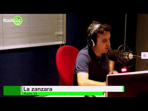 La Zanzara Gottardo contro le assenze di Sgarbi, difeso da Parenzo 8 settembre 2020