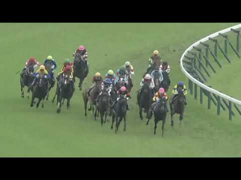 2025.05.25 Yushun Himba (Japanese Oaks) - Kamunyak