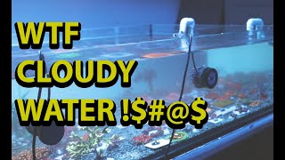 WHY IS MY WATER CLOUDY \\ Help Us Solve This Cloudy Water Mystery