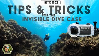 Insta360 X3/X4 Invisible Dive Case Tips & Tricks | BEST SETTINGS