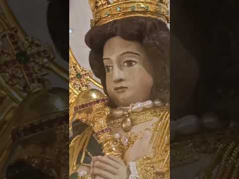Visita de la Virgen de Zapopan a la Parroquia San Juan XXIII