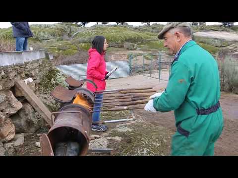 Pasado, presente y futuro de la línea férrea del Duero  