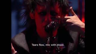 [subbed] Dir en grey - Amber