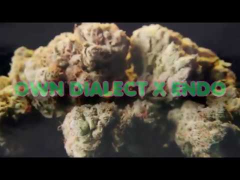 [FREE] Trap Beat | RIN X Minthendo Type beat (2019) prod by Own Dialect