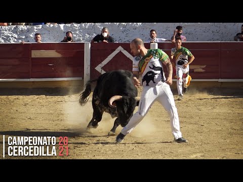 Campeonato de Cortes con Toros Bravos CERCEDILLA 2021