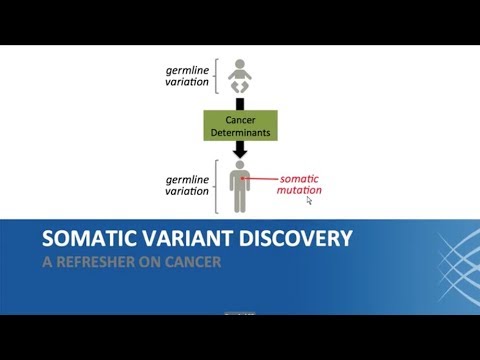 11. Somatic Variant Discovery