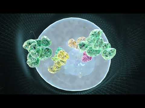 GENEVESTIGATOR® - Analyzing curated and harmonized public single-cell data