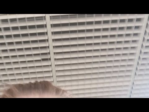 KP-V VS Kiilat Sininen