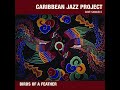 Caribbean Jazz Project, Dave Samuels - Blue (2003)