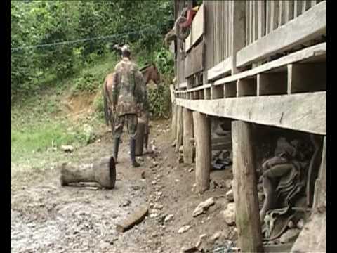 ELN Kolumbien - Das Leben als Guerilla ( Dokumentation)