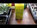 Don T Make This Mistake How When To Fertilizer Your Seed Starts Starting Vegetable Seeds Indoors