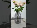 Youtube-видео 