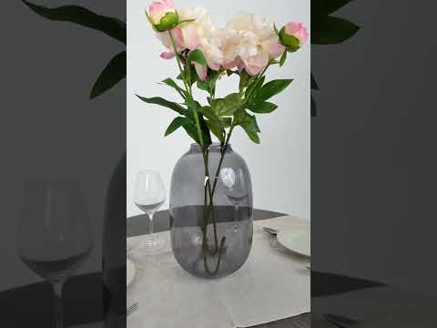 Youtube-видео 