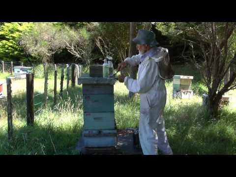 Practical Beekeeping Episode 3