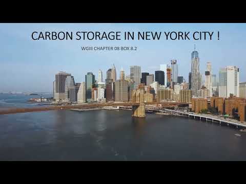 Can New York Carbon Capture Apply to Mumbai?