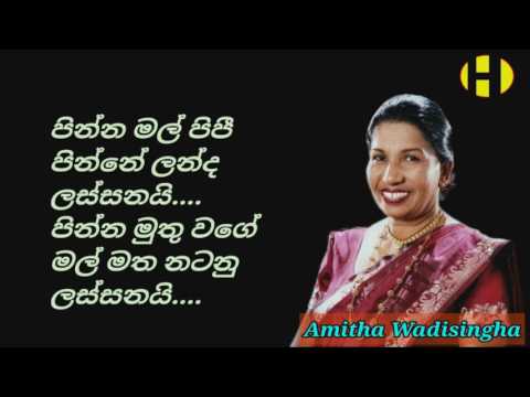 Pinna Mal Pipee ~ Amitha Wadisingha ~  පින්න මල් පිපී පින්නේ ලන්ද ලස්සනයි