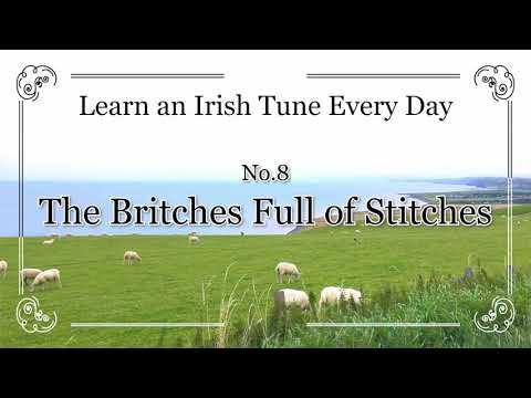 008 The Britches Full of Stitches (Polka, G Ionian) Learn an Irish Tune Every Day.