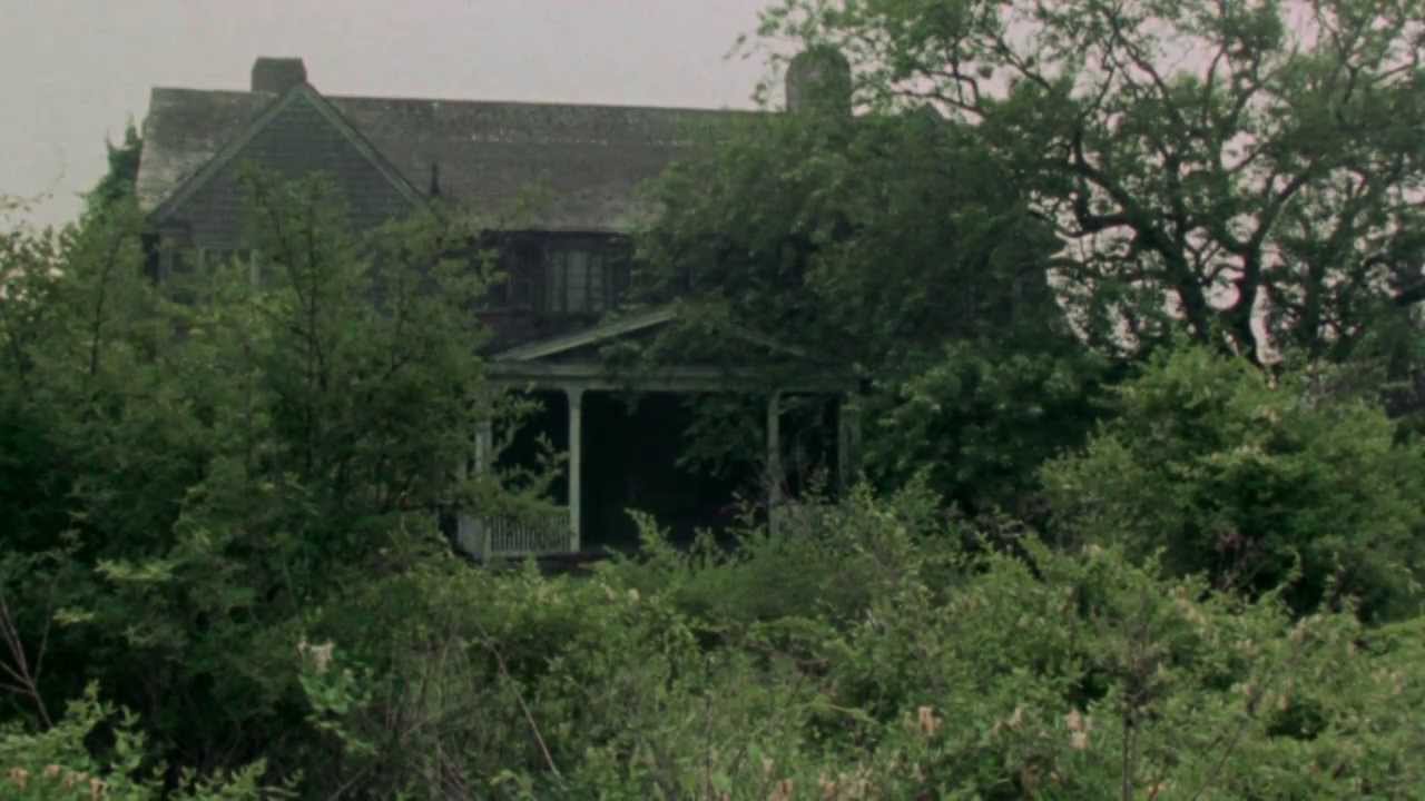 Three Reasons: Grey Gardens