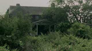 Grey Gardens (1975) Video