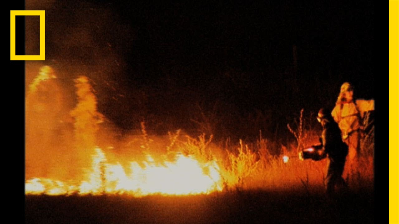 Fighting Wildfires | National Geographic