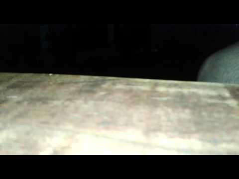 Terror y Kaos - Falsa Religion