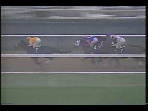 Cigar Jockey Club Gold Cup 1995 + overview