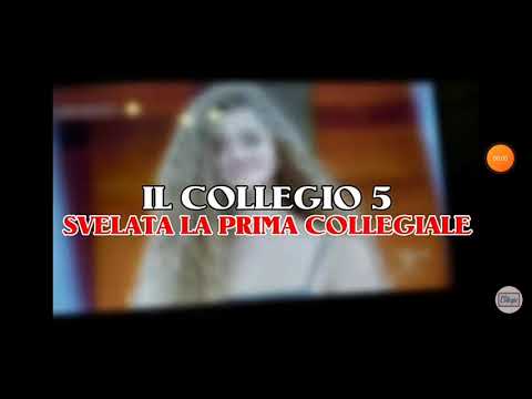 Svelata la prima collegiale | Novità collegio 5 | #01