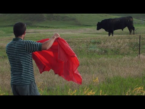 The Sevan Podcast 211 - CrossFit Head Quarters - LIVE CALL IN SHOW