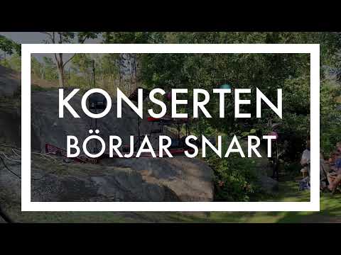 Soulkväll med Paul Mac Innes & Markus Zovic