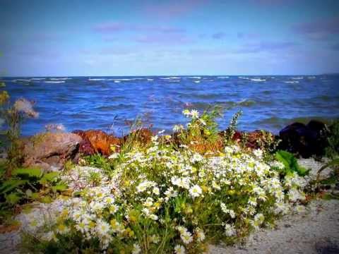 Medemblik Nordholland Holland Strand Stadt - Bilder Filme Fotos