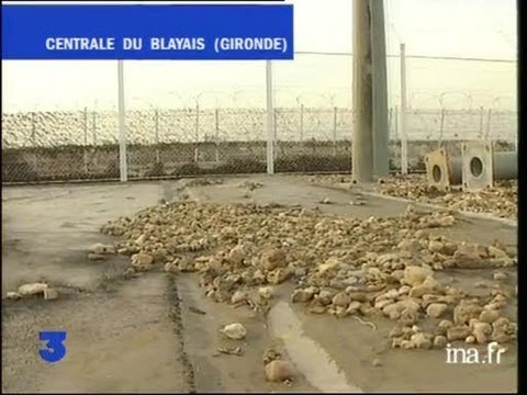 download lagu mp3 mp4 Cnpe Blayais, download mp3 Cnpe Blayais free download mp3, download mp3 Cnpe Blayais