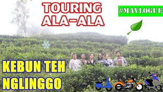 preview picture of video '#MAVlogue #16 Touring Ala-ala ke Kebun Teh Nglinggo Kulon Progo'