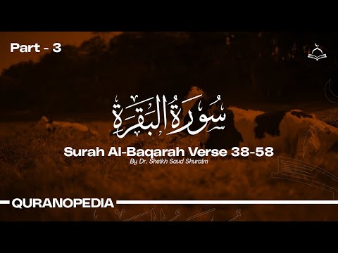 "Relaxing Recitation of Surah Al-Baqarah: Verses 38-58 to Calm Your Soul"