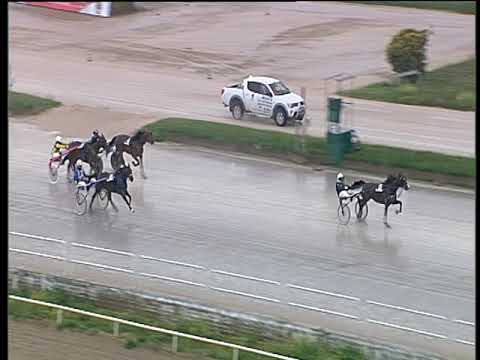 Trotto 31/05/2019 - 2ª corsa