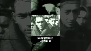 Real Auschwitz Footage… #history #ww2 #darkhistory