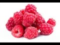 Top 10 Foods To Eat Regularly For Healthy Life