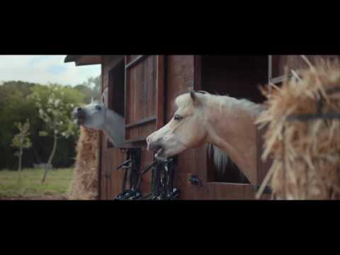 Volkswagen   Horses laugh Commercial Funny Video   2016