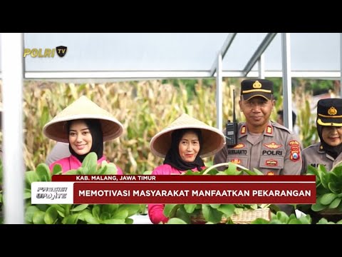 PRESISI UPDATE: DUKUNG KETAHANAN PANGAN, POLRES MALANG PANEN JAGUNG DI PEKARANGAN 21/03/25 (10.00)