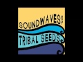 Tribal Seeds - Right on Time 