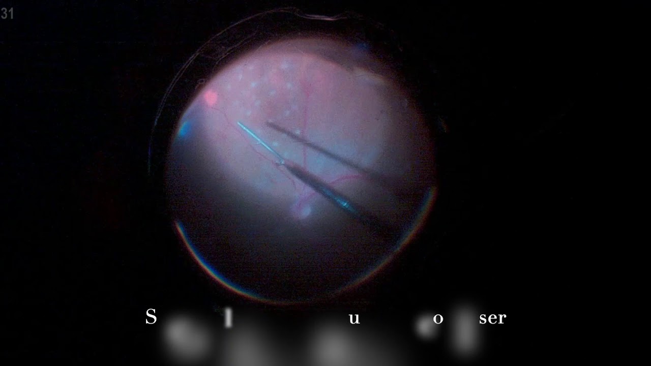 Marco Antonio Rayón Rodríguez-18