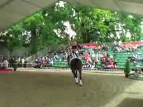 Voltigieren Club43 Denise Artner CVI Freudenau 2008 Kür