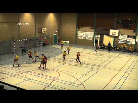 kwiek-bevo samenvatting