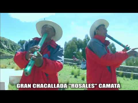 JUVENTUD ROSALES CAMATA DE PLATERIA PERÚ - Mix Chacallada 2022