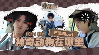 【TNT时代少年团严浩翔YanHaoxiang】旅游日常VLOG《非去不可》 EP06：神奇动物在哪里-严浩翔cut