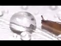 Slug gets eaten by a water droplet meme