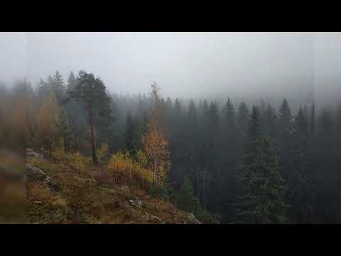 [FREE] LIL PEEP x PHARAOH x WHITE PUNK x BONES TYPE BEAT - 'picking up the pieces'